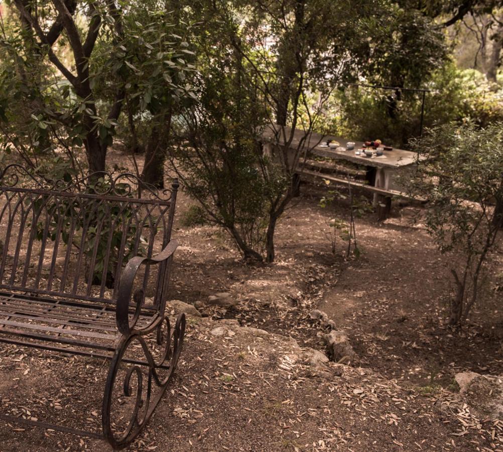 Вилла Nel Giardino Dei Pesci Volanti Сан-Панталео Экстерьер фото